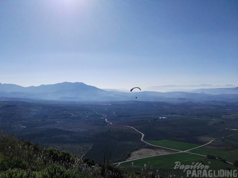 FA14.17 Algodonales-Paragliding-243