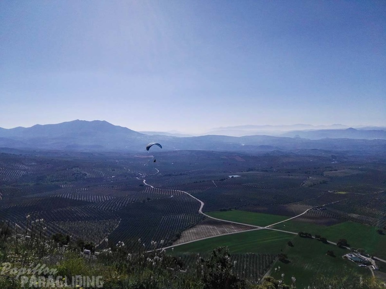FA14.17_Algodonales-Paragliding-260.jpg