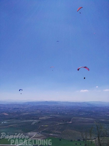 FA14.17 Algodonales-Paragliding-277