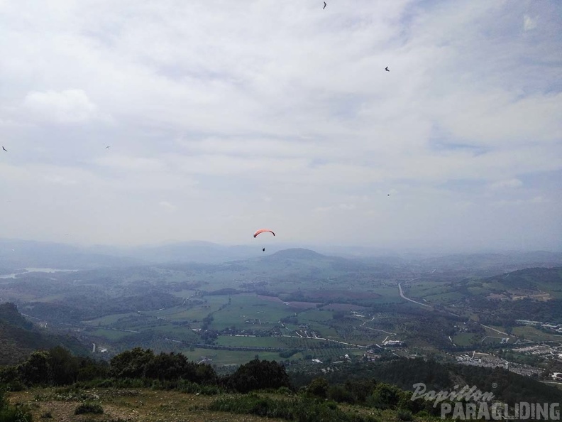 FA15.17 Algodonales-Paragliding-324