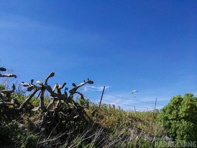 FA15.17_Algodonales-Paragliding-355.jpg