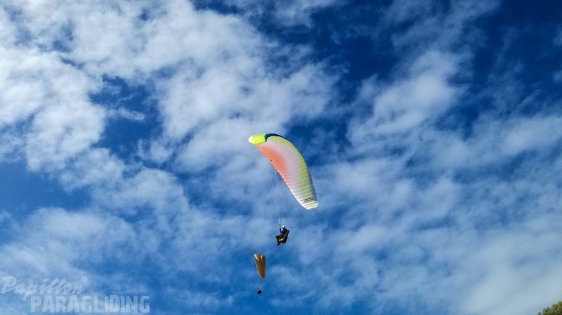 122_FA10.18_Algodonales_Papillon-Paragliding.jpg