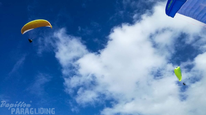 157_FA10.18_Algodonales_Papillon-Paragliding.jpg