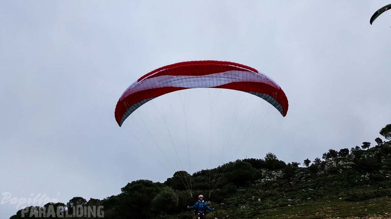 241 FA10.18 Algodonales Papillon-Paragliding
