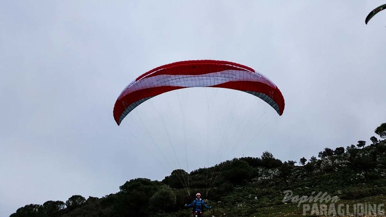 241 FA10.18 Algodonales Papillon-Paragliding