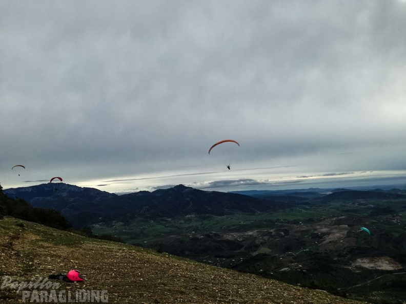 259_FA10.18_Algodonales_Papillon-Paragliding.jpg