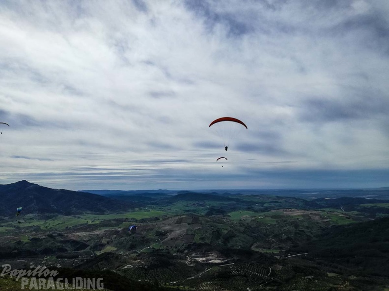 278_FA10.18_Algodonales_Papillon-Paragliding.jpg
