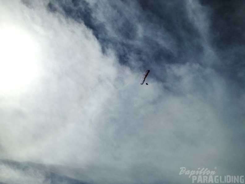 282_FA10.18_Algodonales_Papillon-Paragliding.jpg