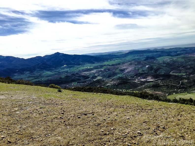 292_FA10.18_Algodonales_Papillon-Paragliding.jpg