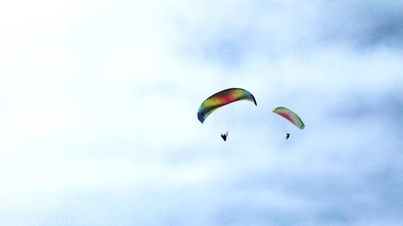 389 FA10.18 Algodonales Papillon-Paragliding