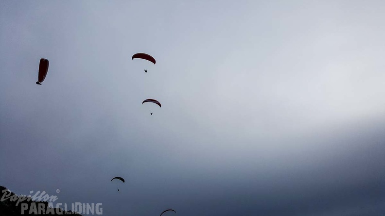579 FA10.18 Algodonales Papillon-Paragliding