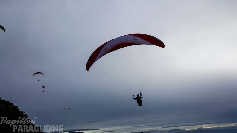 603 FA10.18 Algodonales Papillon-Paragliding