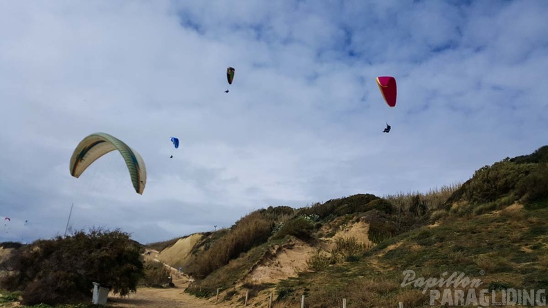 630_FA10.18_Algodonales_Papillon-Paragliding.jpg