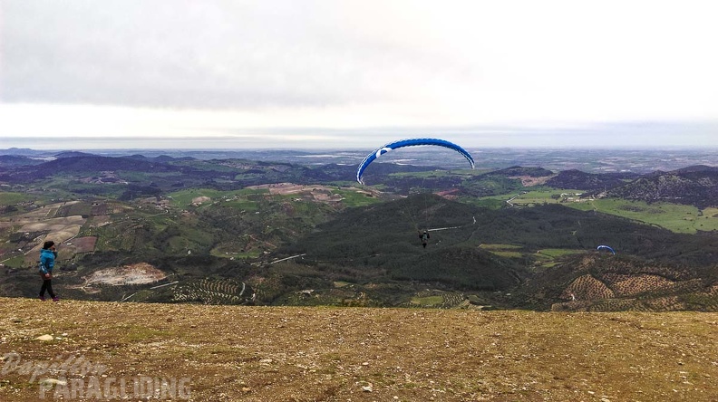 667 FA10.18 Algodonales Papillon-Paragliding