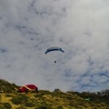 704 FA10.18 Algodonales Papillon-Paragliding
