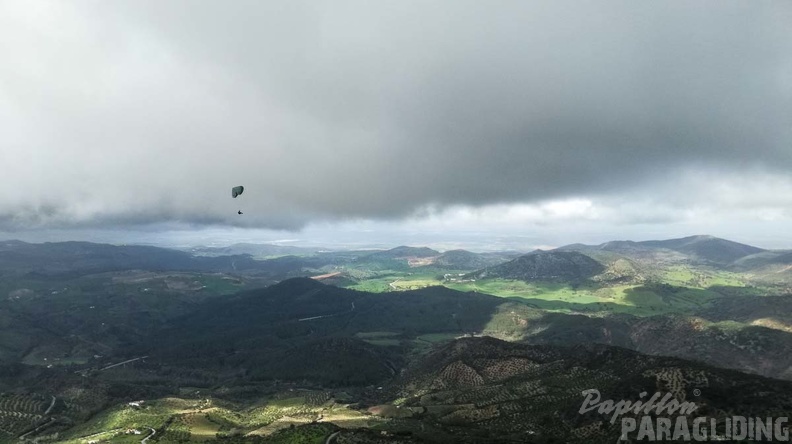 313_Papillon_Paragliding_Algodonales-FA11.18_199_313_313.jpg