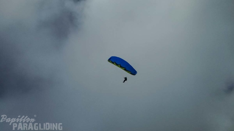 314 Papillon Paragliding Algodonales-FA11.18 200 314 314