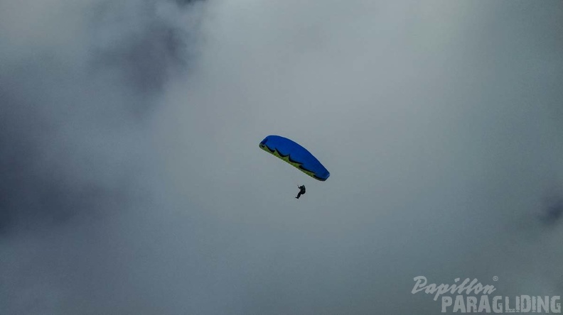 314 Papillon Paragliding Algodonales-FA11.18 200 314 314