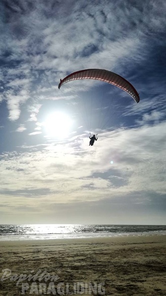 373 Papillon Paragliding Algodonales-FA11.18 137 373 373