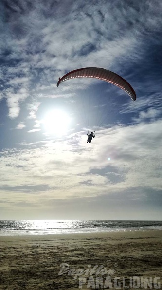 373 Papillon Paragliding Algodonales-FA11.18 137 373 373