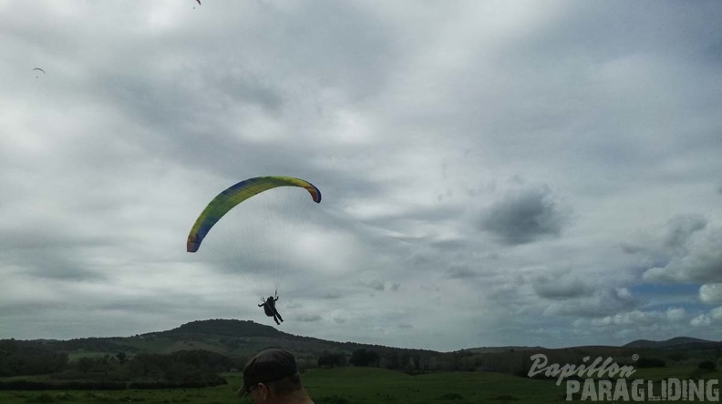 435_Papillon_Paragliding_Algodonales-FA11.18_74_435_435.jpg