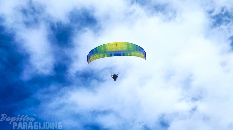 444 Papillon Paragliding Algodonales-FA11.18 70 444 444