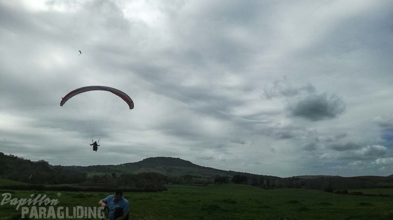 446_Papillon_Paragliding_Algodonales-FA11.18_66_446_446.jpg