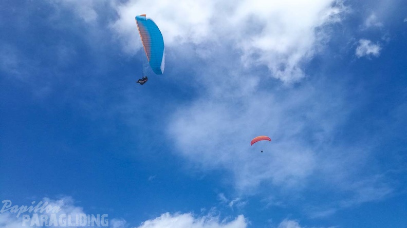 460 Papillon Paragliding Algodonales-FA11.18 48 460 460