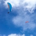 460 Papillon Paragliding Algodonales-FA11.18 48 460 460