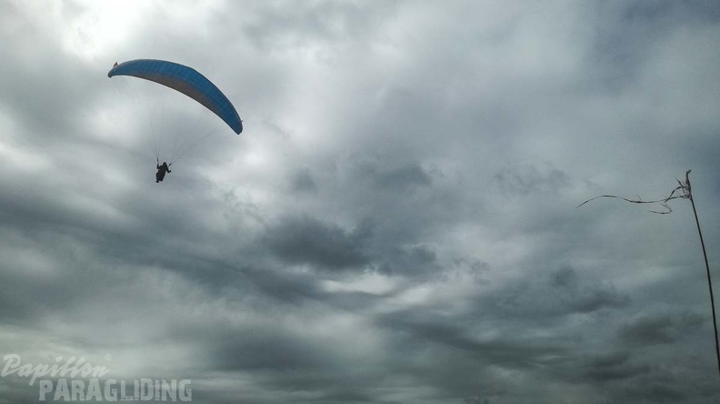 464 Papillon Paragliding Algodonales-FA11.18 52 464 464