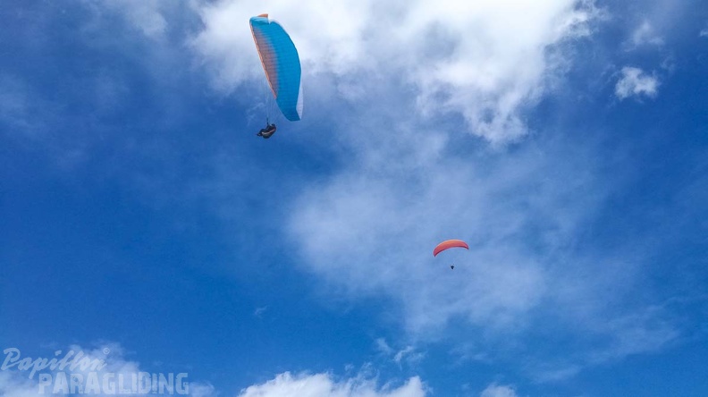 467 Papillon Paragliding Algodonales-FA11.18 47 467 467