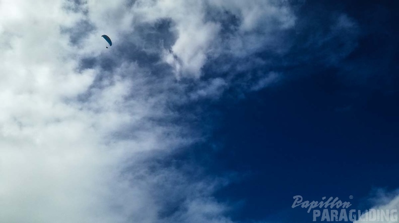 469_Papillon_Paragliding_Algodonales-FA11.18_43_469_469.jpg