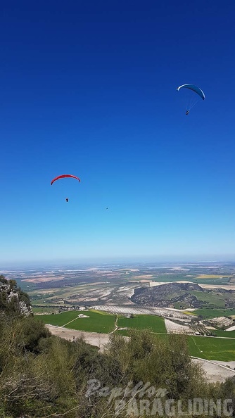 FA13.18 Algodonales-Paragliding-199