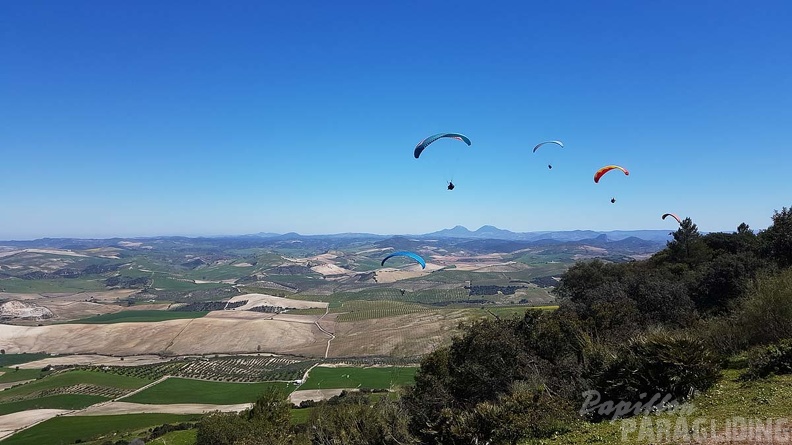 FA13.18 Algodonales-Paragliding-203