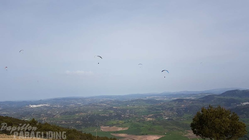 FA14.18 Algodonales-Paragliding-272