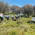 FA16.18 Paragliding-Algodonales-101