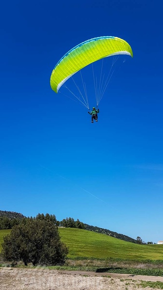 FA16.18 Paragliding-Algodonales-189