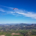 FA16.18 Paragliding-Algodonales-226