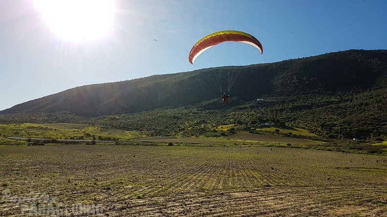 FA16.18 Paragliding-Algodonales-246