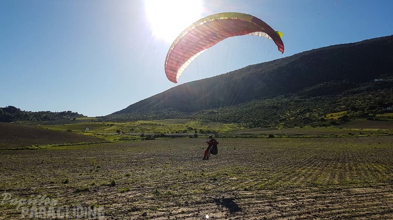 FA16.18 Paragliding-Algodonales-249