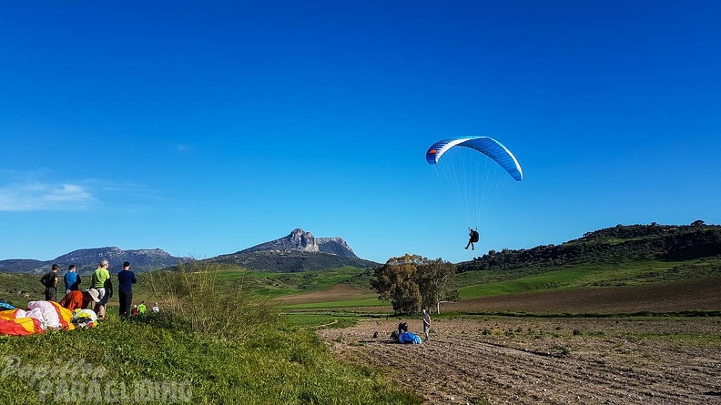 FA16.18 Paragliding-Algodonales-255