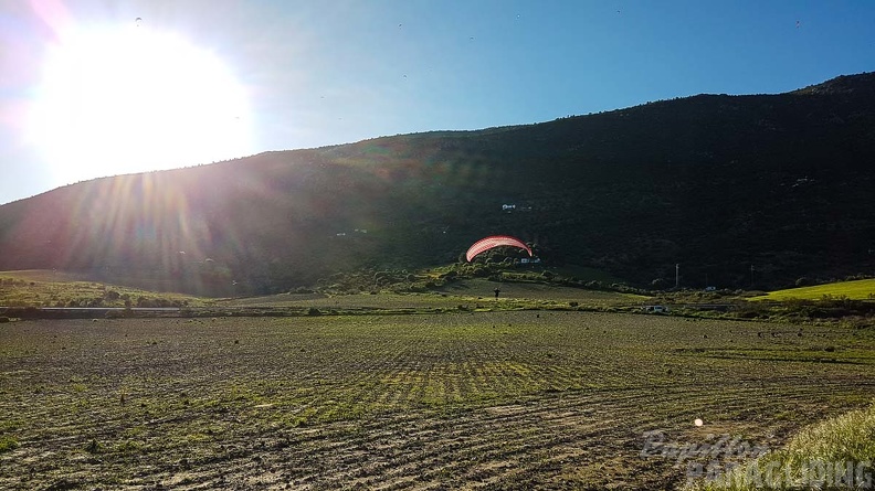 FA16.18 Paragliding-Algodonales-258