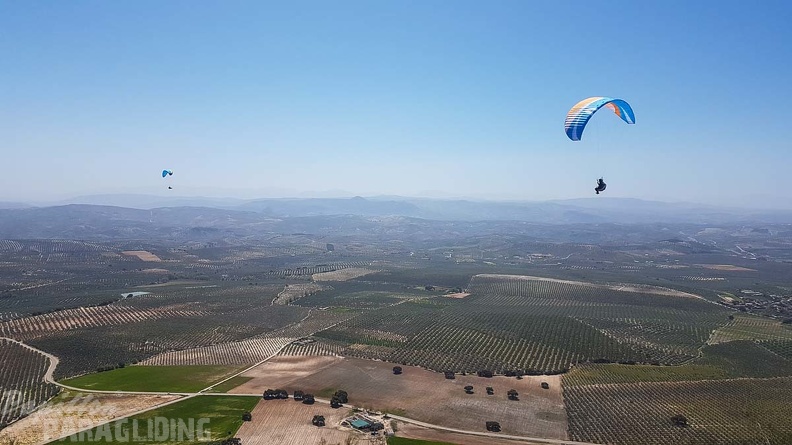 FA16.18 Paragliding-Algodonales-284