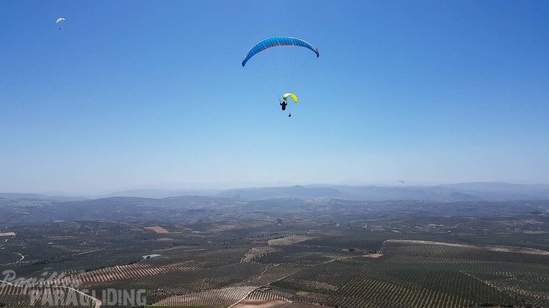 FA16.18 Paragliding-Algodonales-287