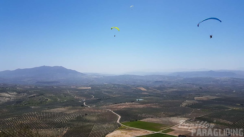 FA16.18 Paragliding-Algodonales-288