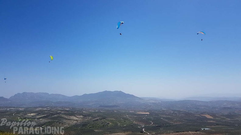 FA16.18 Paragliding-Algodonales-289