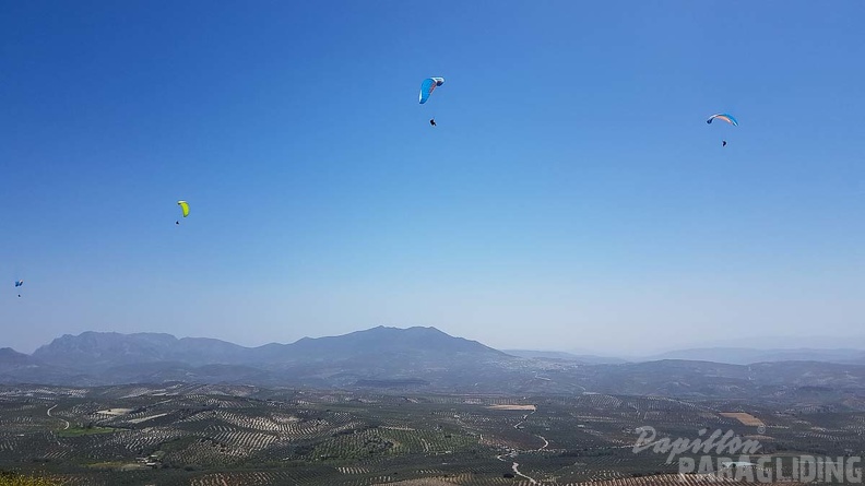 FA16.18 Paragliding-Algodonales-289