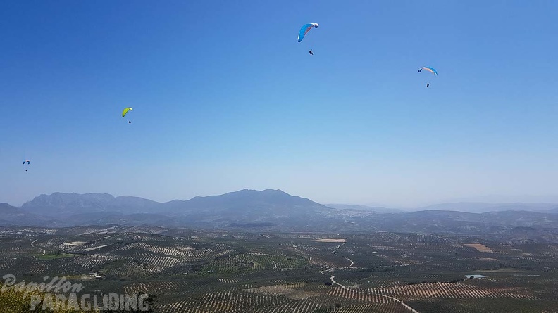 FA16.18 Paragliding-Algodonales-290