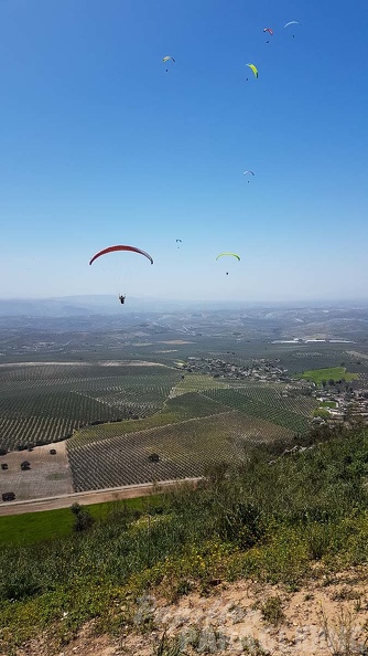 FA16.18 Paragliding-Algodonales-291