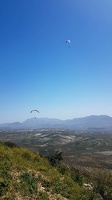 FA16.18 Paragliding-Algodonales-293